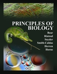 Principles of Biology by Robert Bear, David Rintoul, Bruce Snyder, Martha Smith-Caldas, Christopher Herren, and Eva Horne